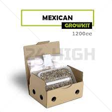Mondo® Grow Kit Mexican