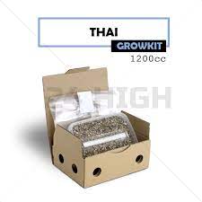 Mondo® Grow Kit Thai ‘ Ban Hua’