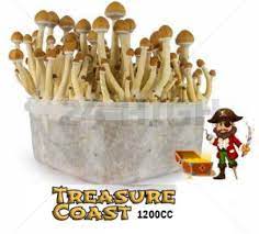 Mondo® Grow Kit Treasure Coast