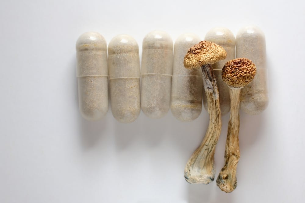 How Long Do Mushrooms Last?